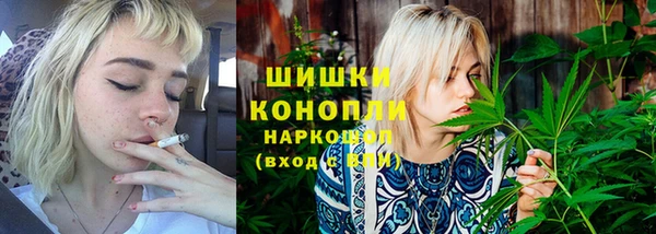 мдпв Горно-Алтайск