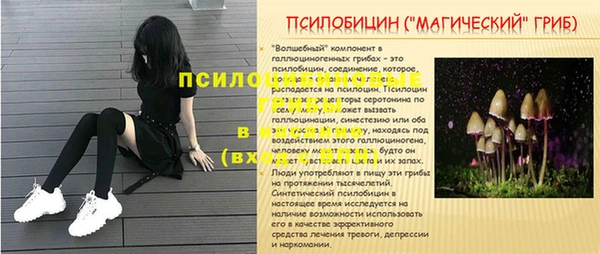 прущая мука Вязьма