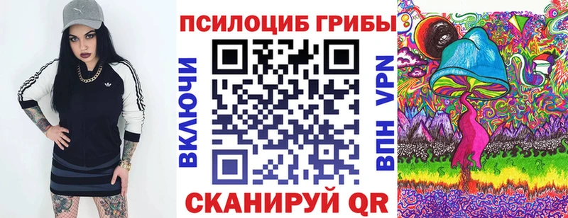 где найти наркотики  Рыбинск  Псилоцибиновые грибы прущие грибы 